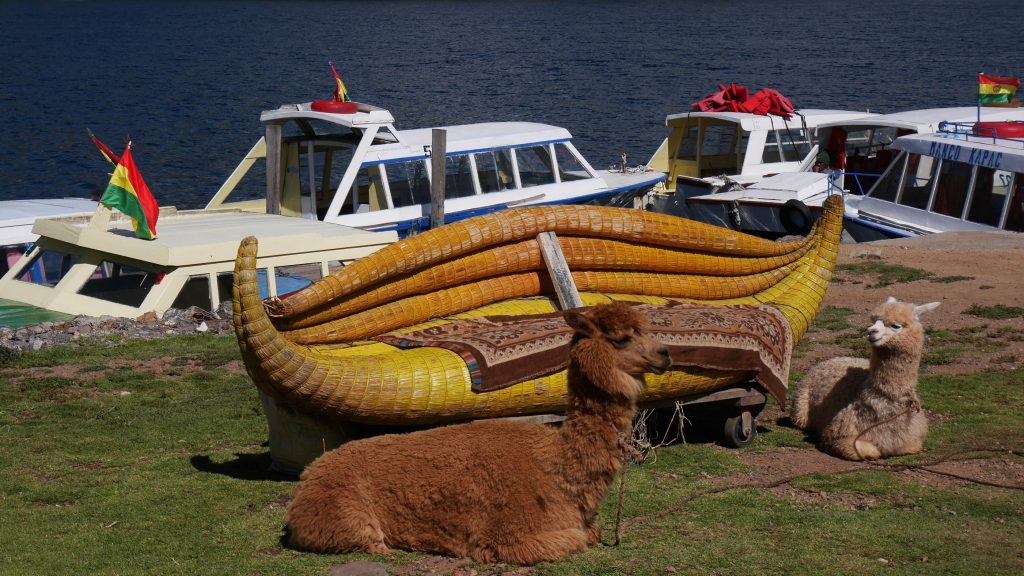 Barque et lamas